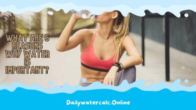 What Are 5 Reasons Why Water is Important